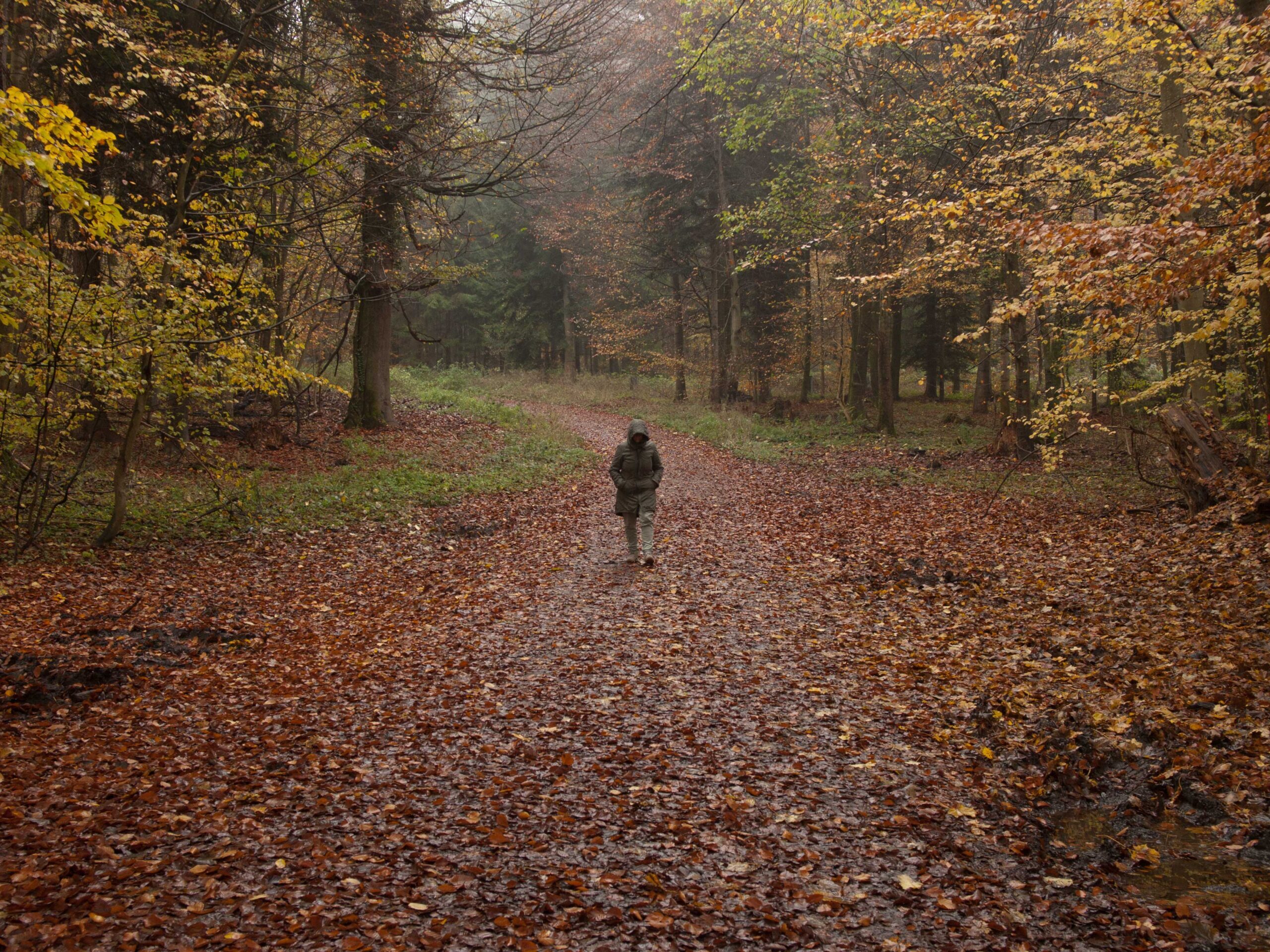 Hallo schöne Frau,  hallo schöner Mann.